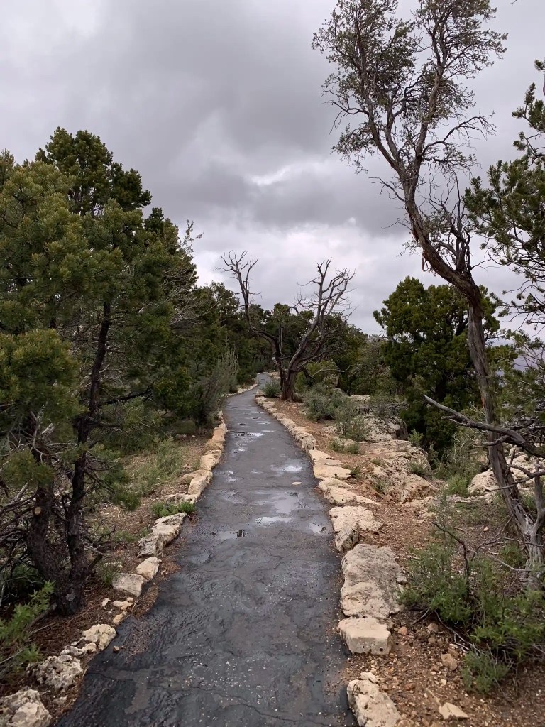 A photo of a trail leading upward with evergreen and rocky terrain